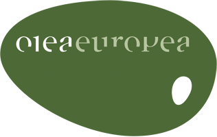 Olea Europea Osmisli Estetsko